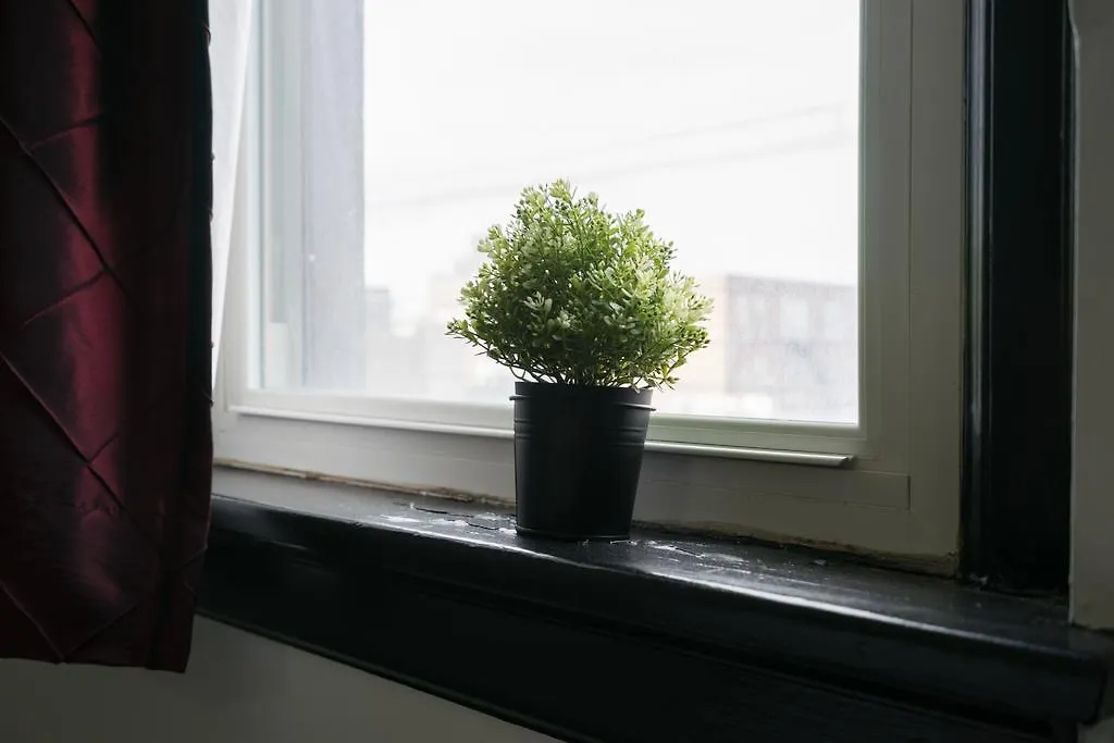 Applewood Suites - Queen West Loft Toronto Appartamento